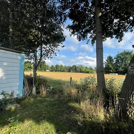 Ibiza In Natuurlijke Omgeving * Bergen op Zoom