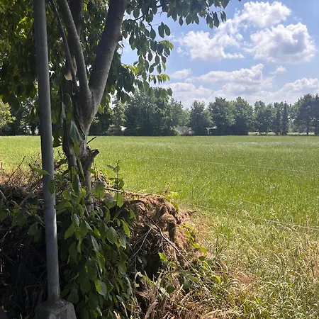 Ibiza In Natuurlijke Omgeving *