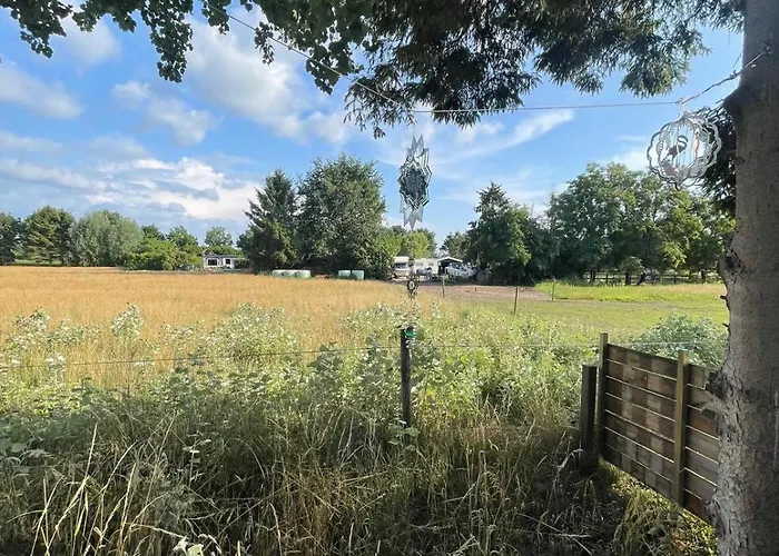 Ibiza In Natuurlijke Omgeving