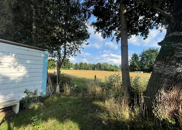 Ibiza In Natuurlijke Omgeving * Bergen op Zoom