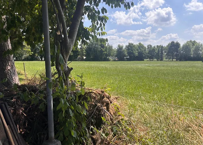 Ibiza In Natuurlijke Omgeving *